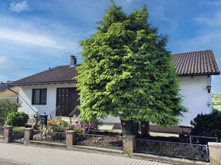 Hausansicht Straßenseite - Einfamilienhaus in 69257 Wiesenbach mit 187m² kaufen