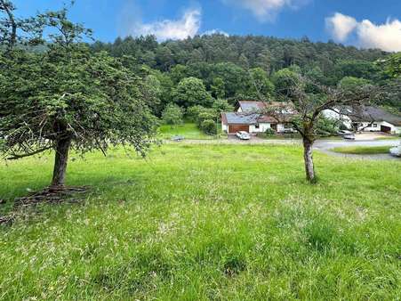 Ansicht - Grundstück in 69412 Eberbach mit 795m² kaufen