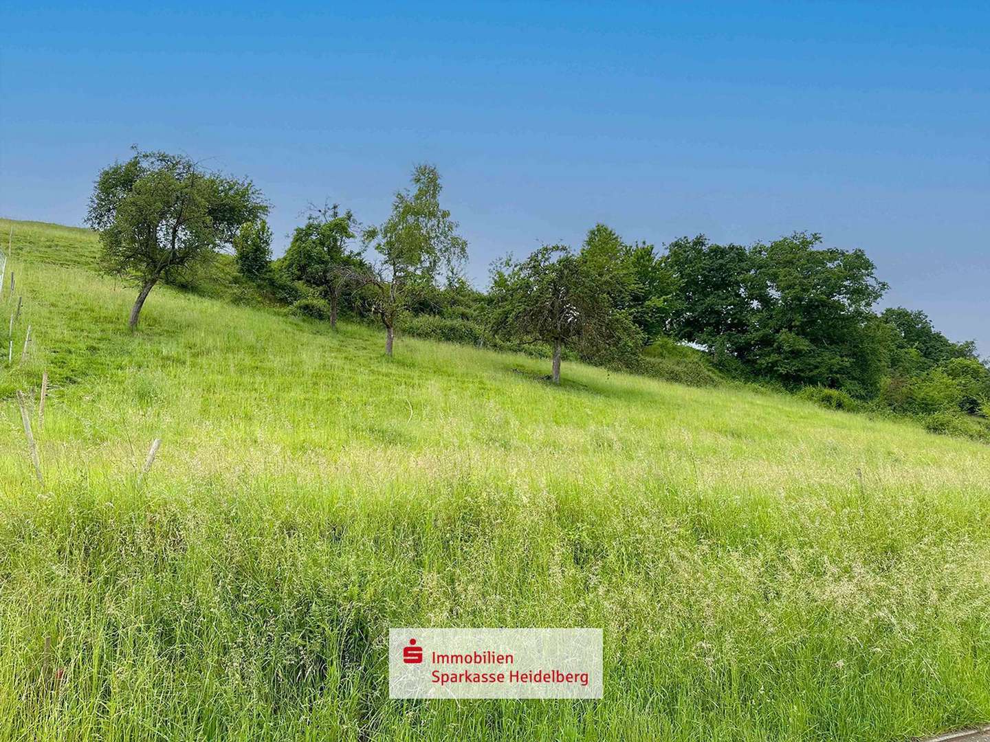 Ansicht - Grundstück in 69412 Eberbach mit 795m² kaufen
