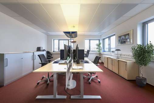 Büro - Büro in 69123 Heidelberg mit 731m² mieten