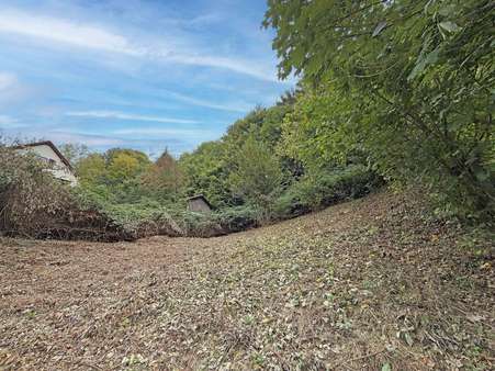 Grundstück - Grundstück in 69250 Schönau mit 770m² kaufen