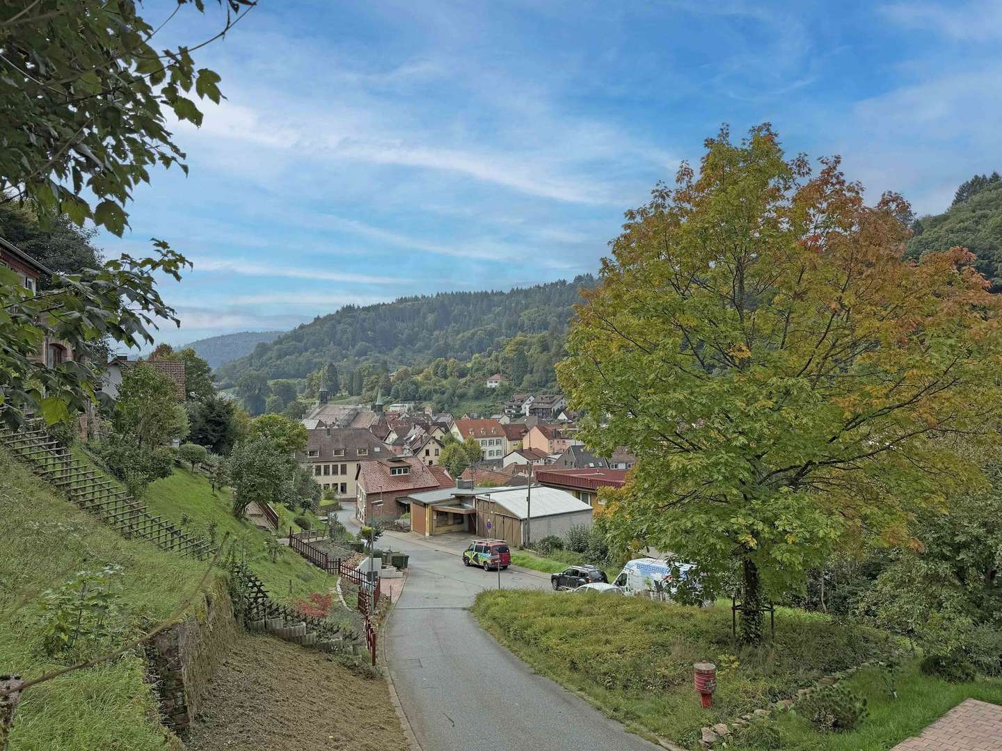 Umgebung Grundstück - Grundstück in 69250 Schönau mit 770m² kaufen