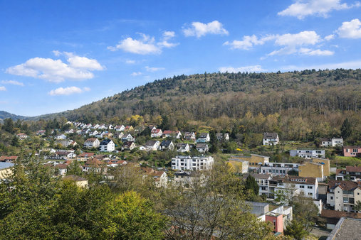Aussicht - (KI-generiert) - Einfamilienhaus in 69118 Heidelberg mit 94m² kaufen