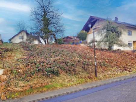 Grundstücksansicht - Grundstück in 74931 Lobbach mit 702m² kaufen
