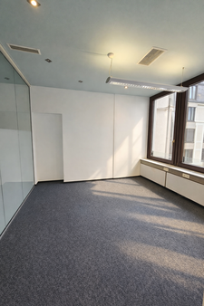 Büroraum mit Blick Innenhof - Bürofläche in 69117 Heidelberg mit 100m² mieten