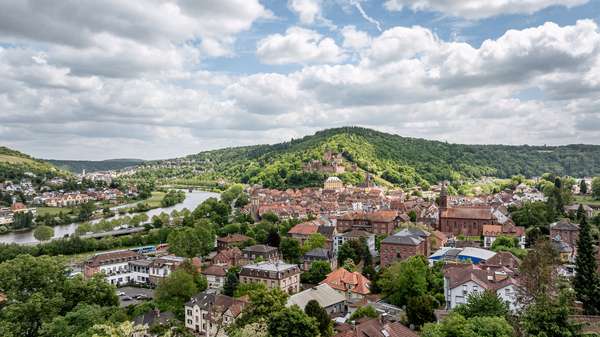 Ausblick - Mehrfamilienhaus in 97877 Wertheim mit 362m² als Kapitalanlage kaufen