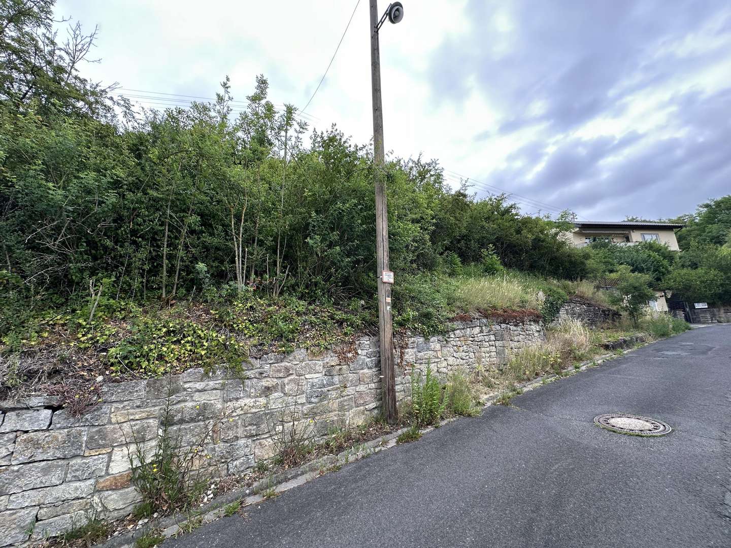 Ansicht - Grundstück in 97922 Lauda-Königshofen mit 2528m² kaufen