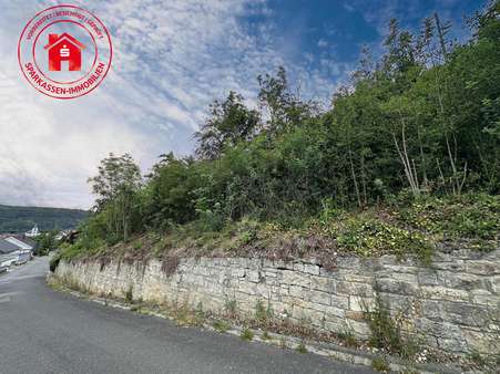 Ansicht - Grundstück in 97922 Lauda-Königshofen mit 2528m² kaufen
