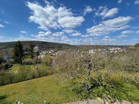 Aussicht - Einfamilienhaus in 74821 Mosbach mit 188m² kaufen