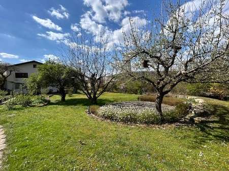 Garten - Einfamilienhaus in 74821 Mosbach mit 188m² kaufen