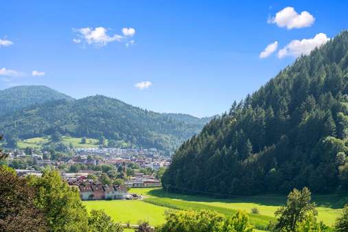 Ausblick zur Kernstadt Waldkirch - Dachgeschosswohnung in 79183 Waldkirch mit 36m² kaufen