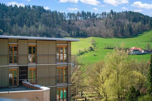 Ausblick Kohlenbacher Tal - Etagenwohnung in 79183 Waldkirch mit 105m² kaufen