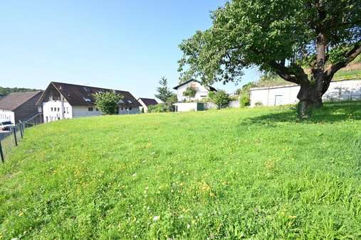 leichtes Hanggrundstück - Grundstück in 79364 Malterdingen mit 1200m² kaufen