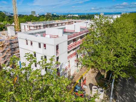 Blick auf die Dachterrassen - Juni 2024 - Maisonette-Wohnung in 79114 Freiburg im Breisgau mit 130m² kaufen