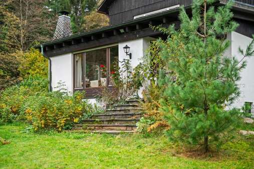 Blick auf die sonnige Südostseite mit Gartenzugang - Grundstück in 79856 Hinterzarten mit 3664m² kaufen