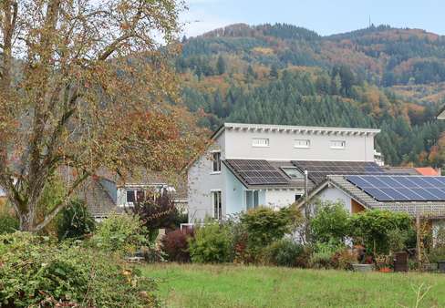 Außenansicht - Zweifamilienhaus in 79688 Hausen mit 232m² kaufen