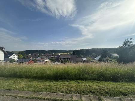 Ausblick - Grundstück in 79733 Görwihl mit 1147m² kaufen