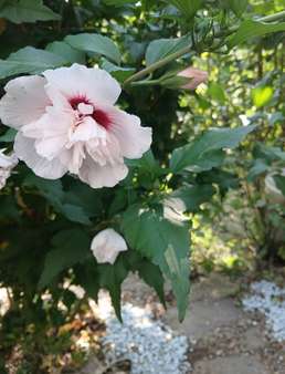 Garten Garten - Erdgeschosswohnung in 79650 Schopfheim mit 62m² kaufen