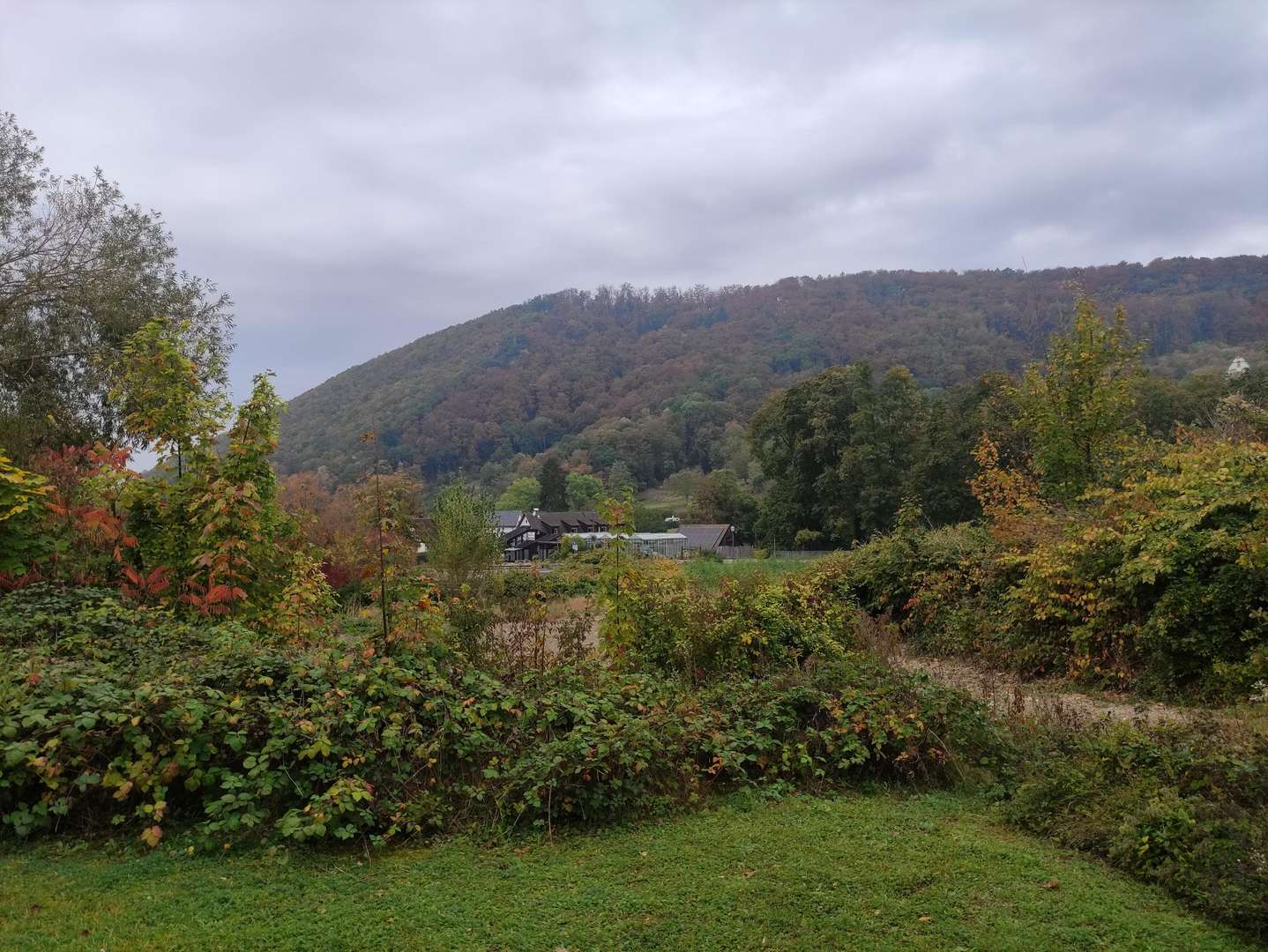 Aussicht vom Baugrundstück - Grundstück in 79410 Badenweiler mit 1195m² kaufen