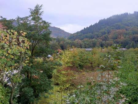 Baugundstück - Grundstück in 79410 Badenweiler mit 1195m² kaufen