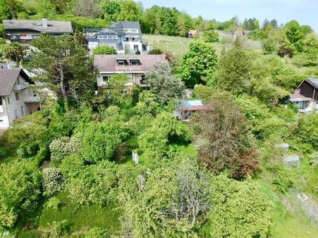 Grundstück nicht einsehbar! - Einfamilienhaus in 79576 Weil am Rhein mit 245m² kaufen