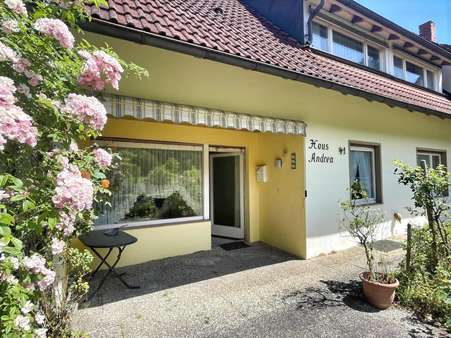 Terrasseneingang - Zweifamilienhaus in 79410 Badenweiler mit 279m² kaufen