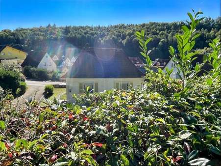 Blick von Garage - Einfamilienhaus in 79761 Waldshut-Tiengen mit 89m² kaufen