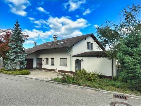 Blick Gebäude, Eingang Blick Gebäude, Eingang - Zweifamilienhaus in 79761 Waldshut-Tiengen mit 246m² kaufen