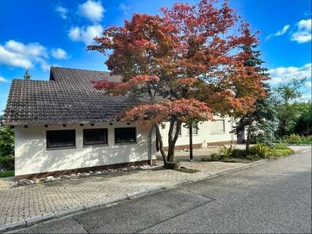 Seitenansicht - Zweifamilienhaus in 79761 Waldshut-Tiengen mit 246m² kaufen