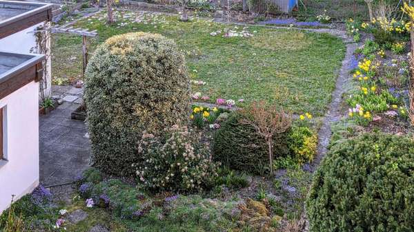 Garten - Mehrfamilienhaus in 79798 Jestetten mit 236m² kaufen
