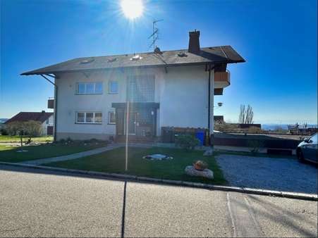 Blick Eingangsbereich - Mehrfamilienhaus in 79733 Görwihl mit 359m² kaufen