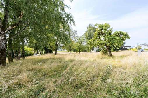Grundstück in 79725 Laufenburg mit 894m² kaufen