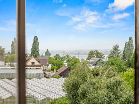 Ausblick vom Wohnzimmer Ausblick vom Wohnzimmer - Etagenwohnung in 78479 Reichenau mit 212m² kaufen