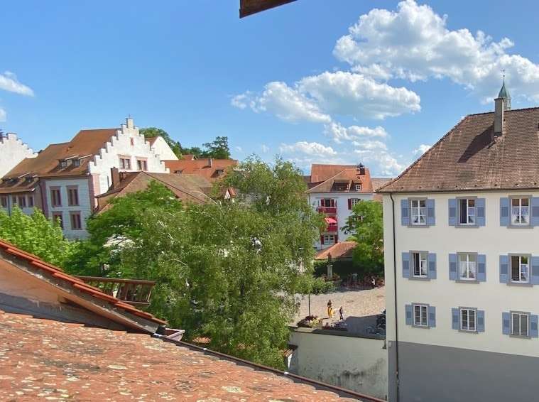 Blick auf die Altstadtdächer - Reihenmittelhaus in 88662 Überlingen mit 95m² kaufen