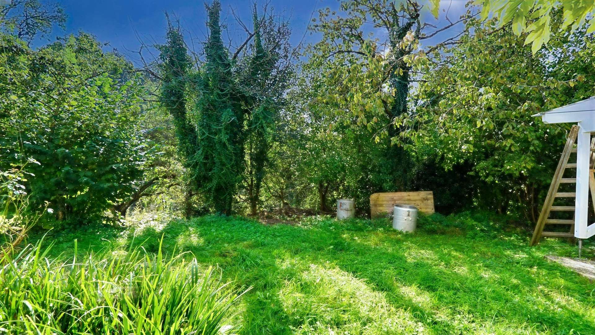 Garten - Einfamilienhaus in 88682 Salem mit 140m² kaufen