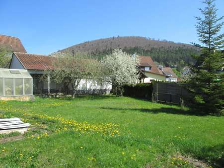 Garten - Einfamilienhaus in 78187 Geisingen mit 134m² kaufen