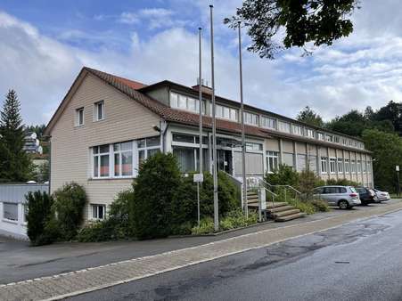 Außenansicht - Produktion in 78089 Unterkirnach mit 3835m² kaufen