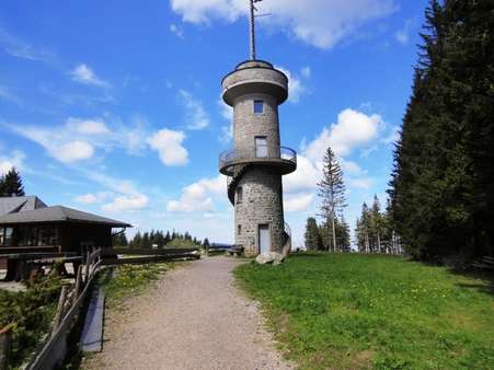 Brendturm - Gastronomie in 78120 Furtwangen mit 550m² kaufen