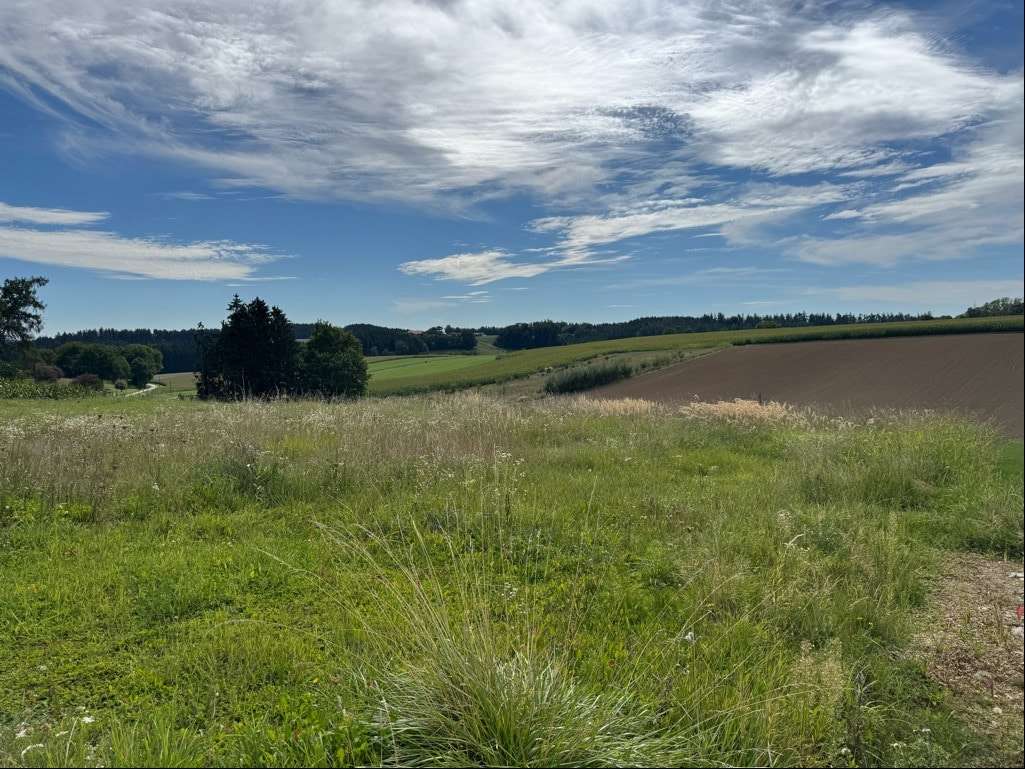 Blick in Richtung Süd-Ost - Grundstück in 85408 Gammelsdorf mit 603m² kaufen