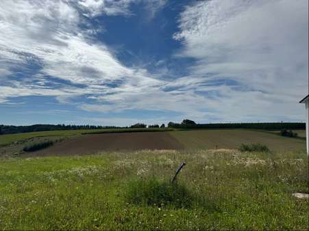 Blick in Richtung Süden - Grundstück in 85408 Gammelsdorf mit 603m² kaufen