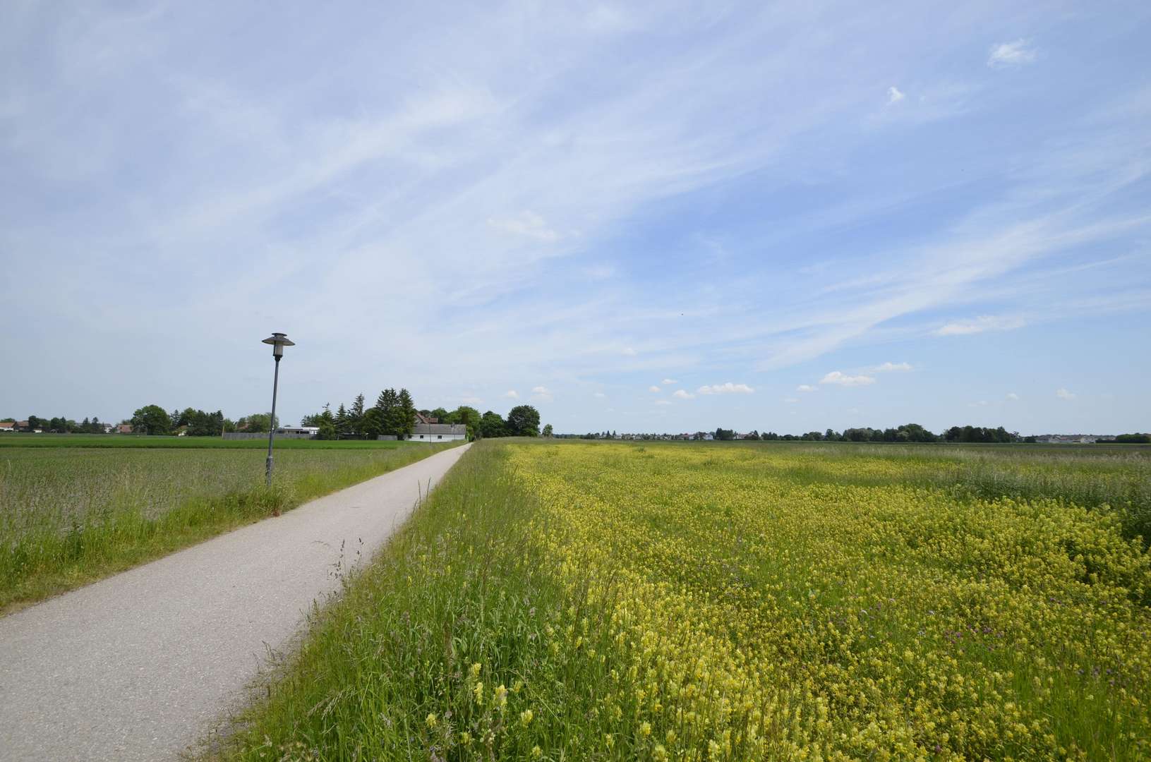 Osten - Grundstück in 85399 Hallbergmoos mit 1000m² kaufen