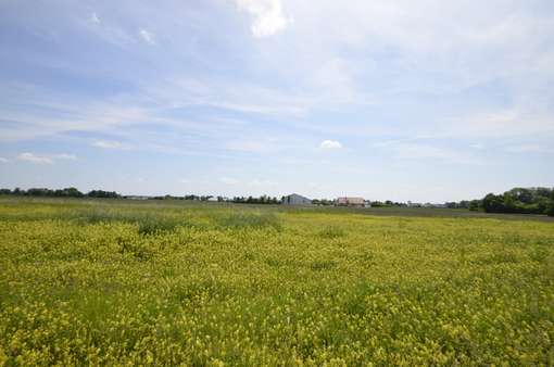 Süden - Grundstück in 85399 Hallbergmoos mit 1000m² kaufen
