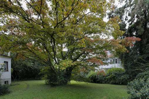 Baumbestand - Einfamilienhaus in 85356 Freising mit 130m² kaufen