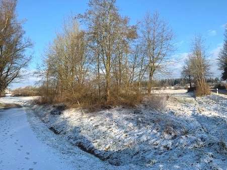 Natur in Nähe "Aufhauser Feld" - Grundstück in 85258 Weichs mit 290m² kaufen