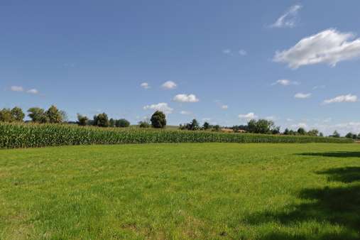 Landwirtschaftliche Fläche Landwirtschaftliche Fläche - Grundstück in 85247 Schwabhausen mit 30113m² kaufen