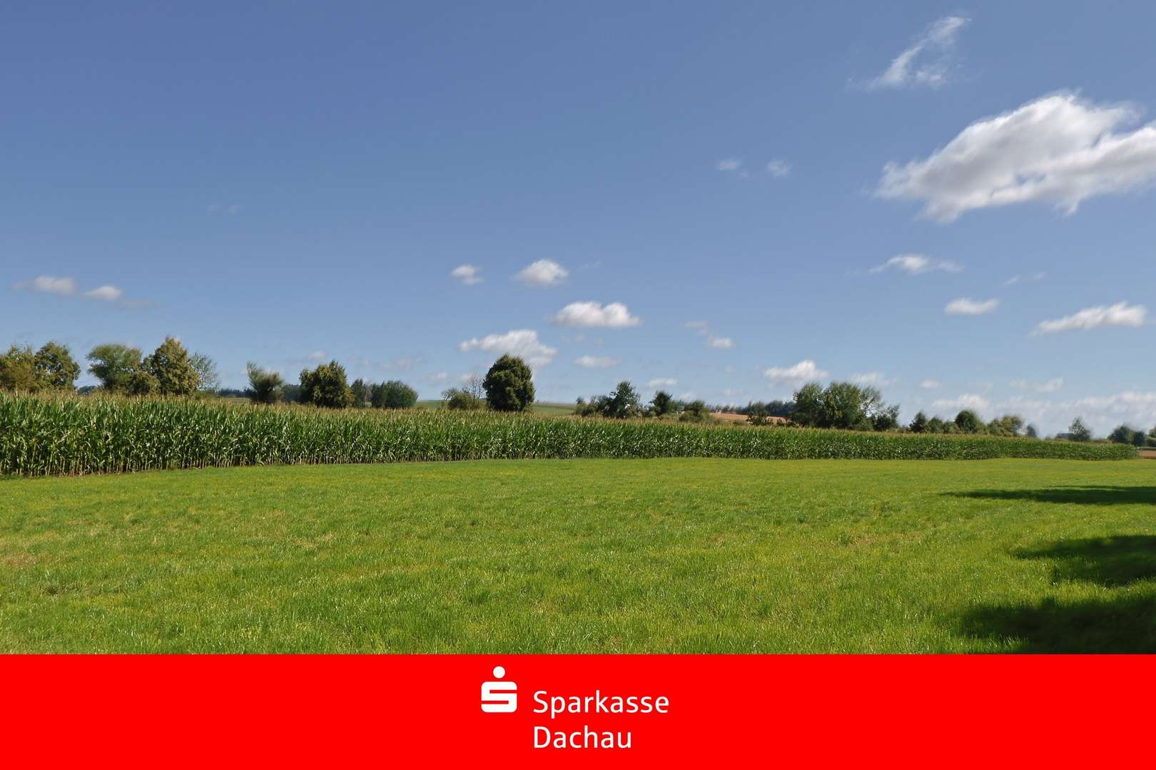 Landwirtschaftliche Fläche Landwirtschaftliche Fläche - Grundstück in 85247 Schwabhausen mit 30113m² kaufen