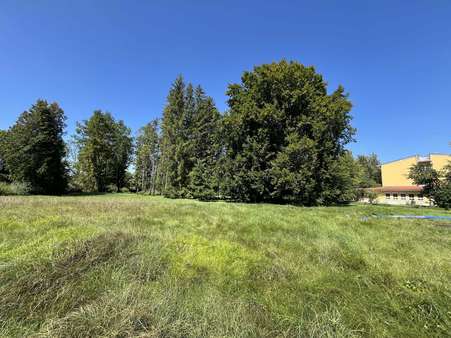 Alter Baumbestand - Grundstück in 85757 Karlsfeld mit 377m² kaufen