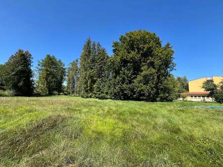 Bauen Sie hier Ihr Traumhaus - Grundstück in 85757 Karlsfeld mit 420m² kaufen