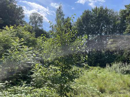 Blick ins Grundstück Blick ins Grundstück - Grundstück in 85435 Erding mit 965m² kaufen