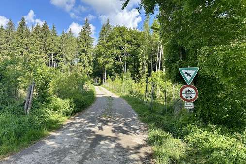 Zufahrt von Süden - Sonstige Landwirtschaftsimmobilie in 86920 Epfach mit 0m² kaufen